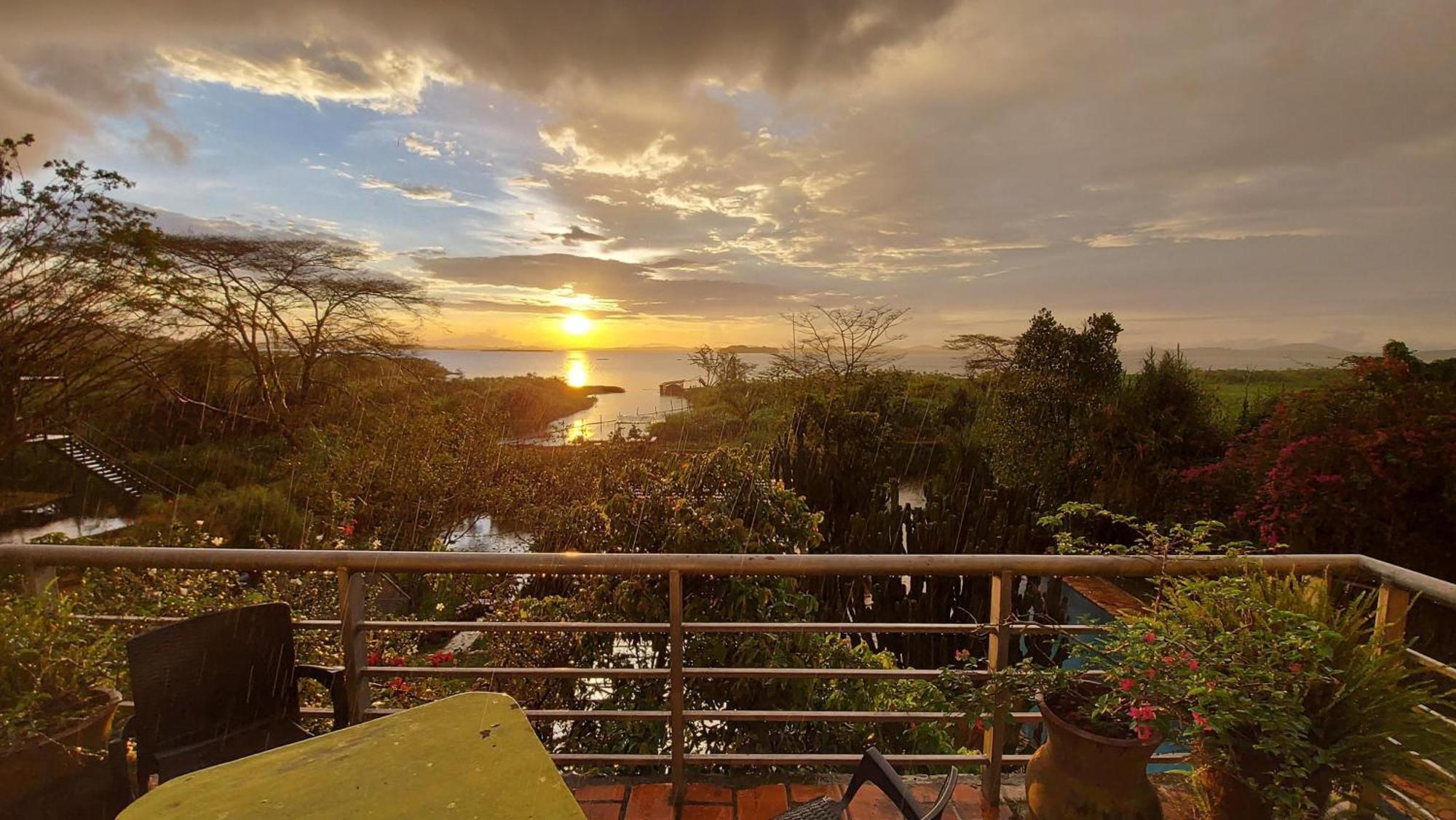 Yellow Haven Lodge Kampala Exterior foto